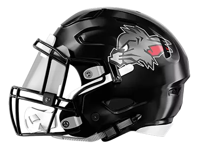 Logo Team Kirchdorf  Wildcats