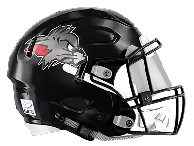 Logo Team Kirchdorf Wildcats