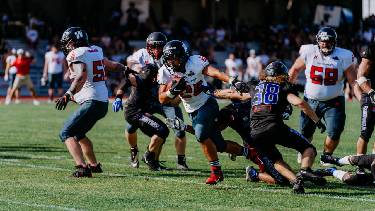 Wachsame-Wildcats-bei-den-Waechtern