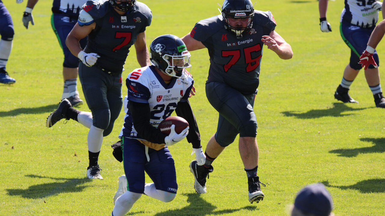 Wildcats-verlieren-mit-erhobenem-Haupt