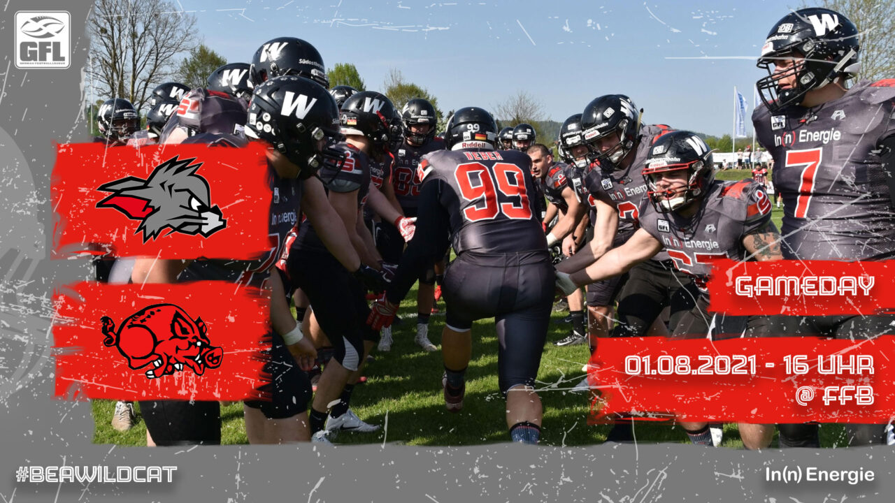 Schlussspurt-für-Wildcats