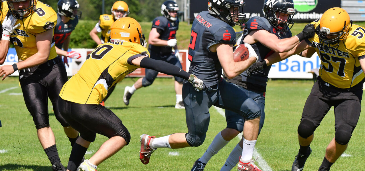 Wildcats versenken Frankfurt Pirates
