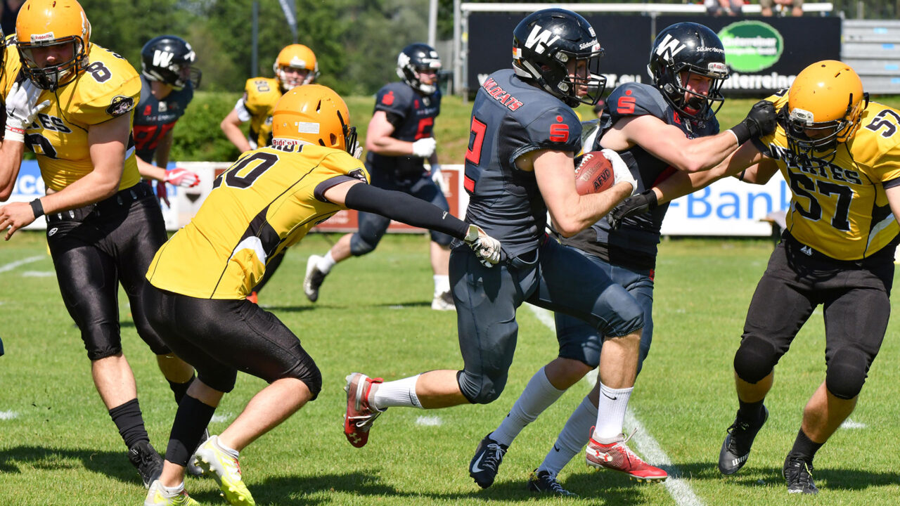 Wildcats versenken Frankfurt Pirates