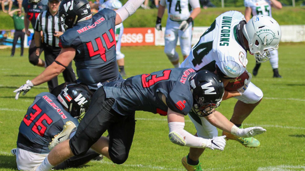 Wildcats stehen vor großem Jahr