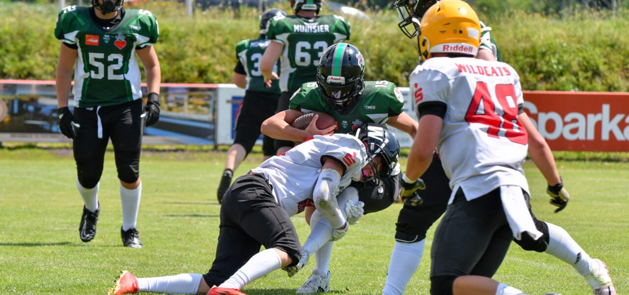 Wildcats laden zum letzten Heimspiel der Saison