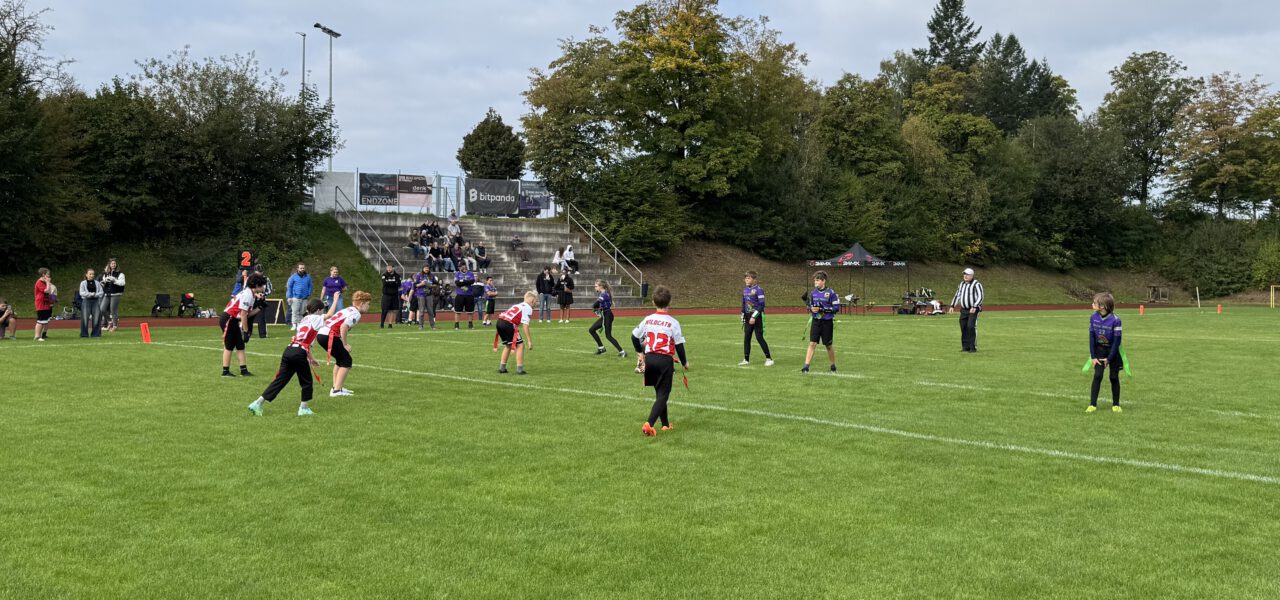 Lehrreiche Spiele für die Wildcats in Passau