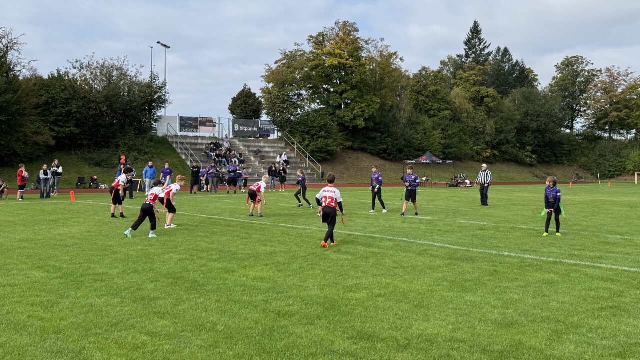 Lehrreiche Spiele für die Wildcats in Passau