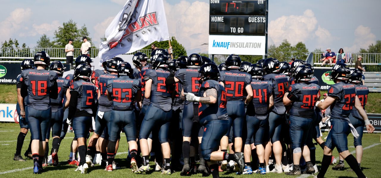 Wildcats wollen in München zurück in die Erfolgsspur